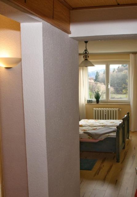 Ferienwohnung Wolf Gräfenroda 外观 照片