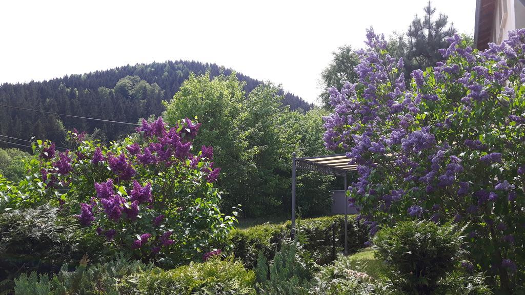 Ferienwohnung Wolf Gräfenroda 外观 照片
