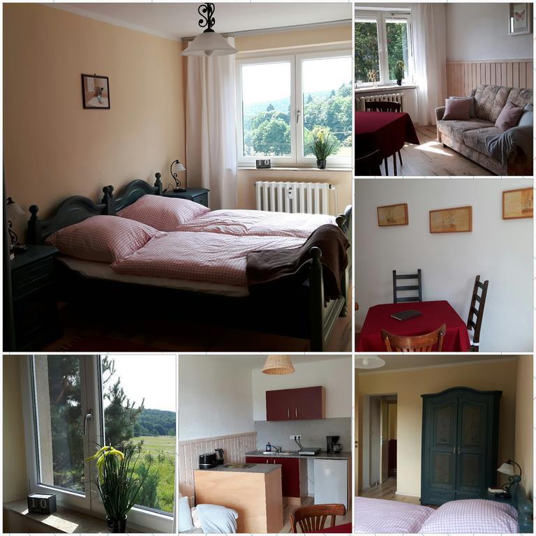 Ferienwohnung Wolf Gräfenroda 外观 照片