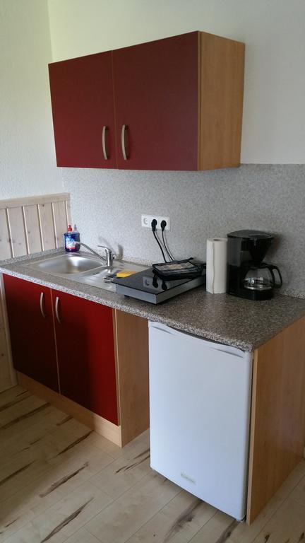 Ferienwohnung Wolf Gräfenroda 外观 照片